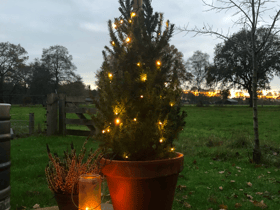 Nature house in Ommen