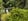 Nature house in Epe