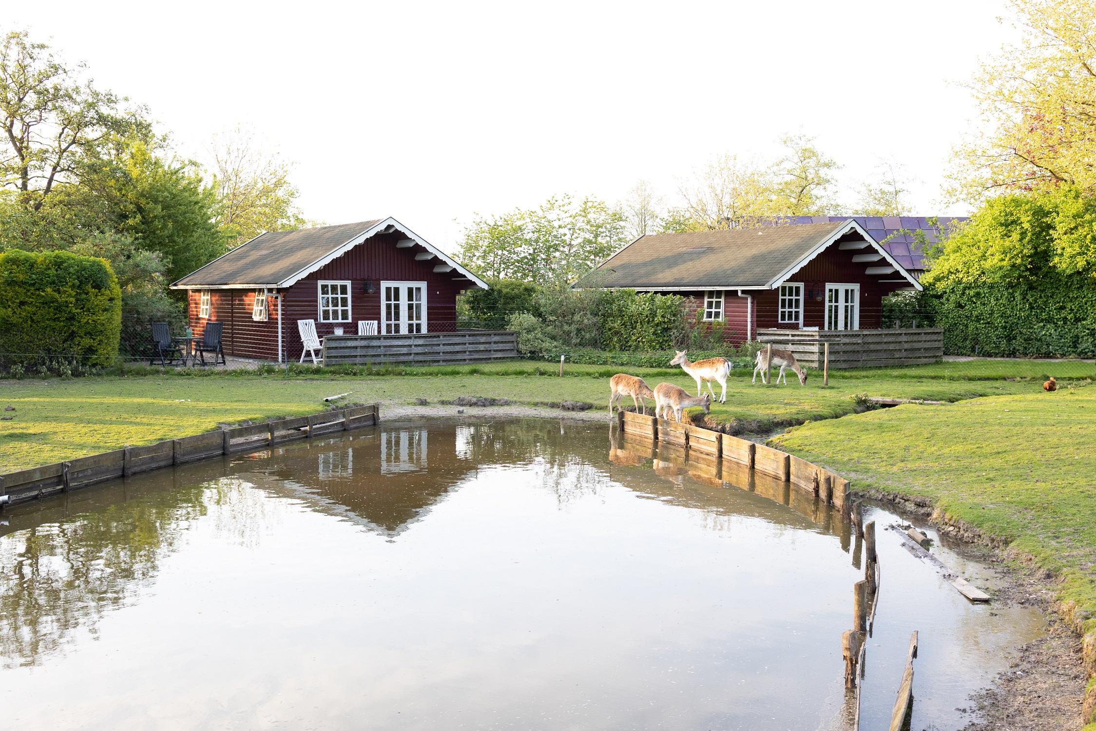 Nature house in Kollumerzwaag