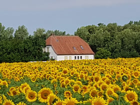 Naturhäuschen in Castell