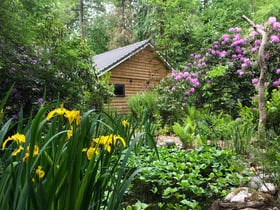 Maison nature à Emst