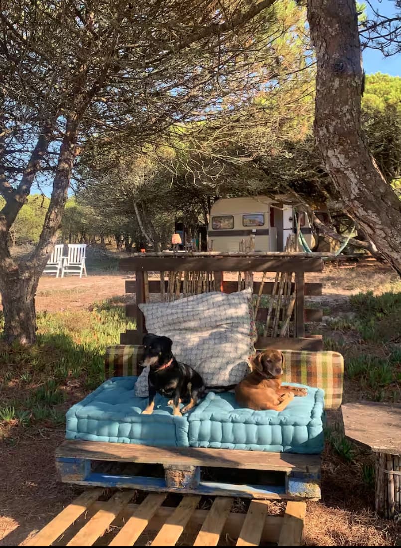 Nature house in Azoia, Cabo Espichel