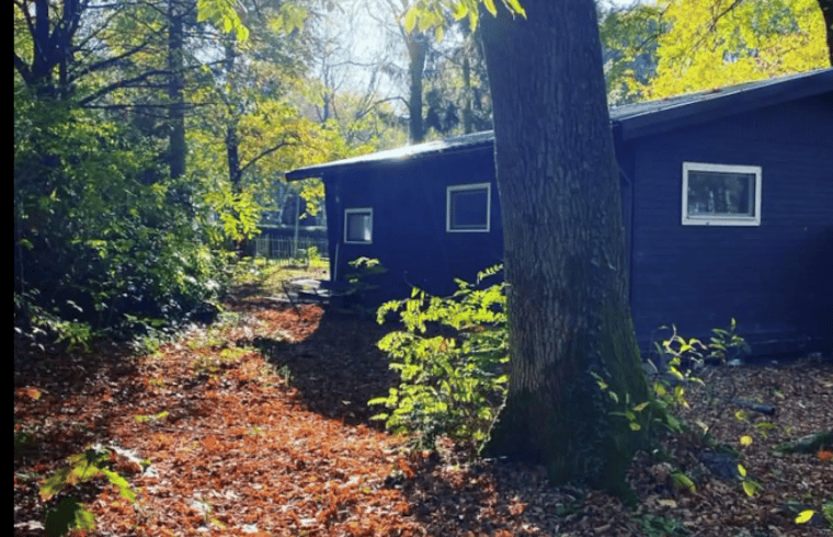 Chalet in Gellik — foto 3