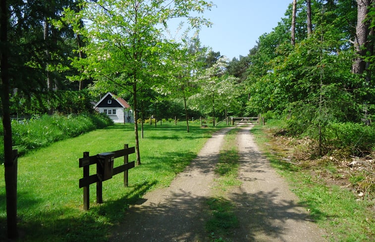 Casa naturaleza en Beekbergen: 2