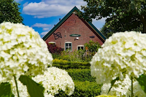 Nature house in Ruurlo