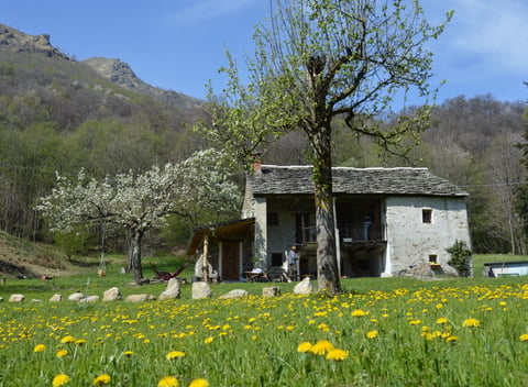 Nature house in vico canavese: 2