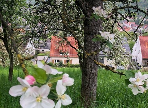 Nature house in Dalhausen