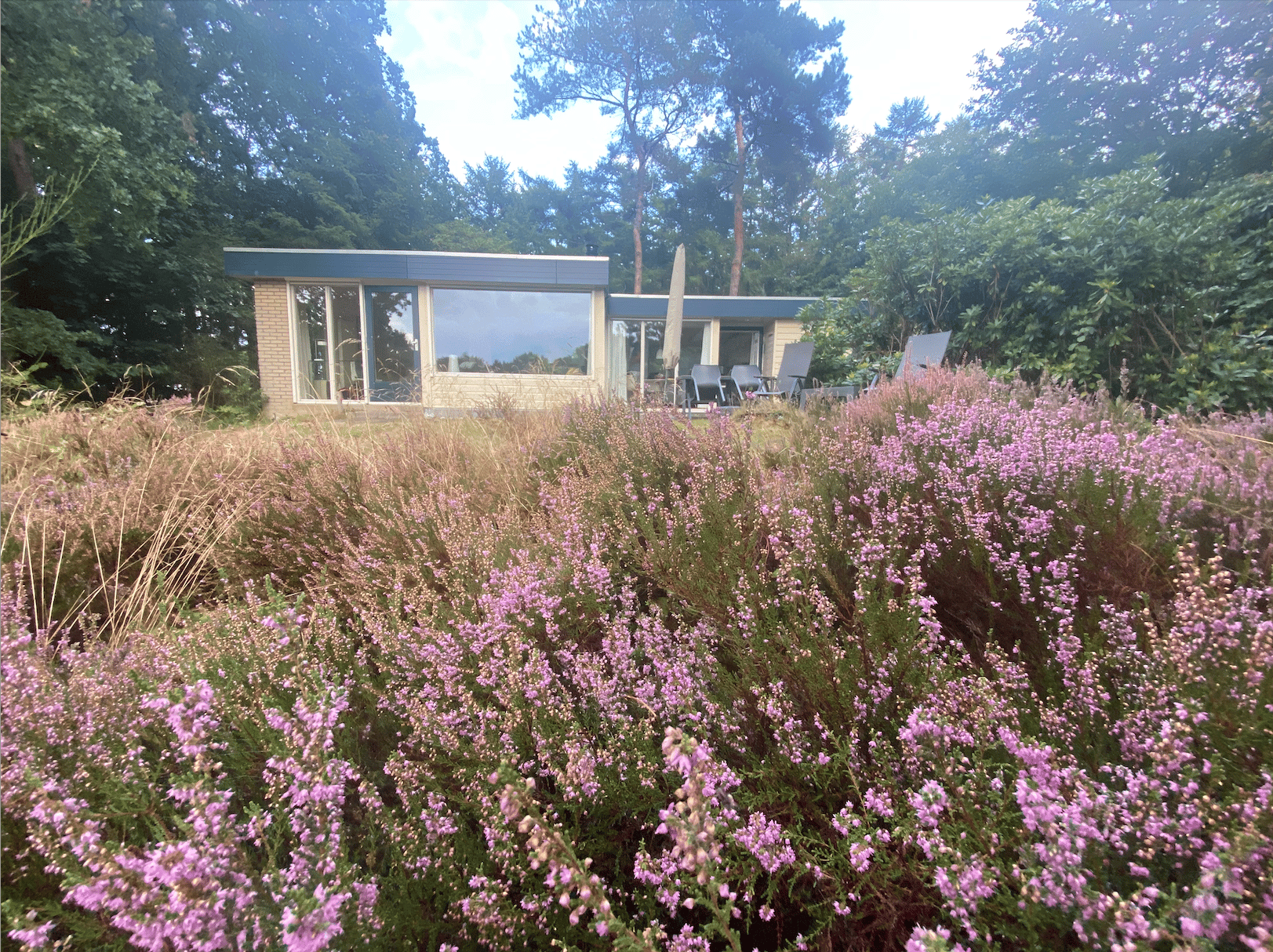 Maison nature à Een