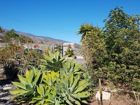 Maison nature dans Arico