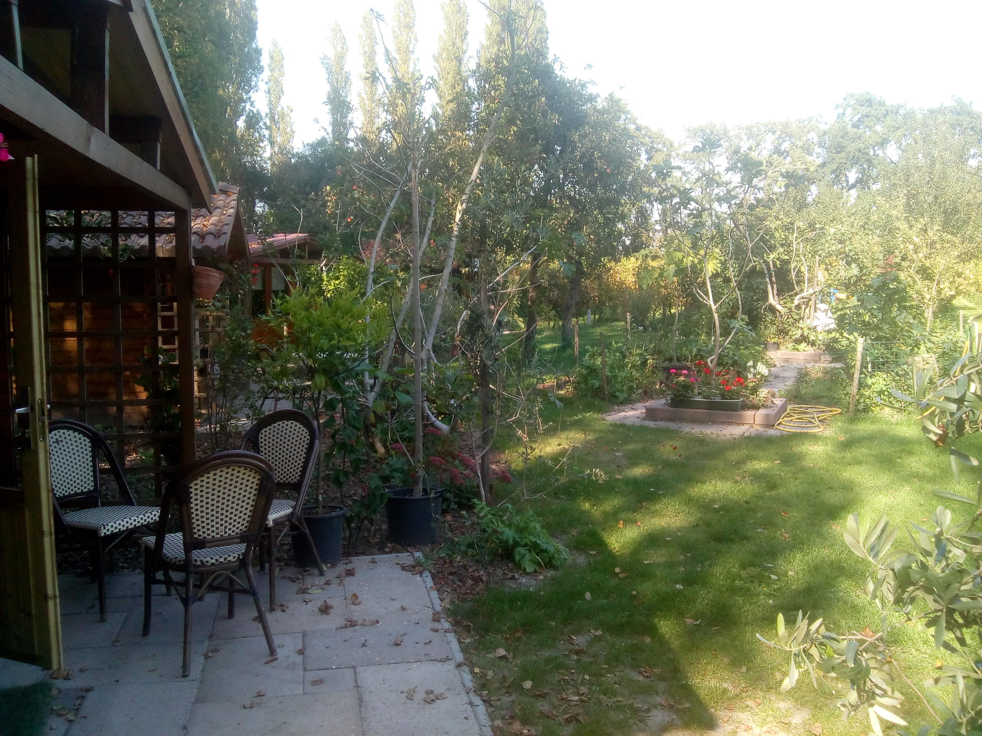 Maison nature à Simonshaven