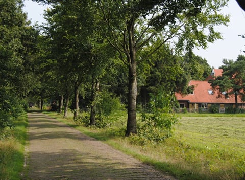 Natuurhuisje in Appelscha (Oude Willem) - thumbnail: 1: 1