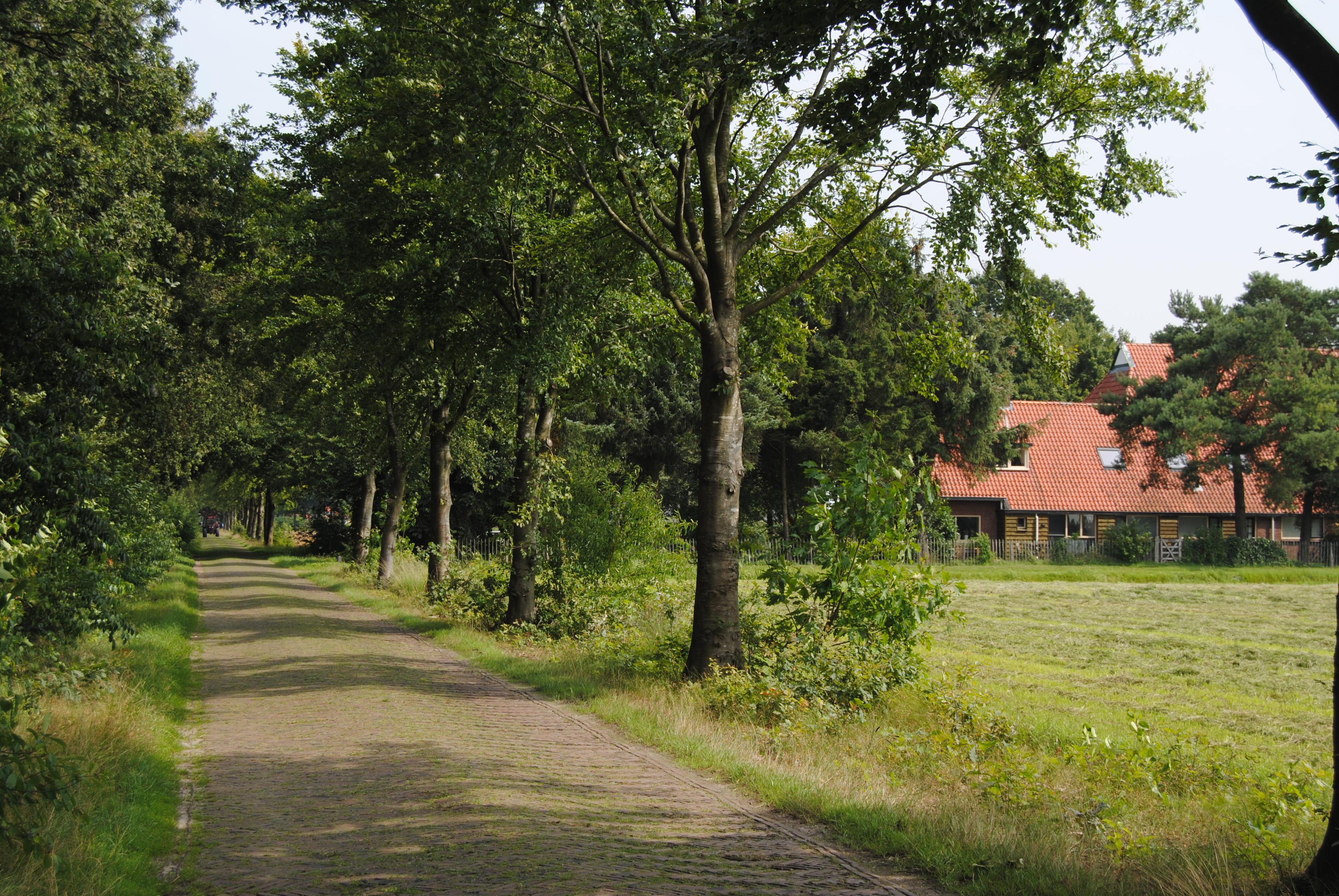 Casa nella natura a Appelscha (Oude Willem)