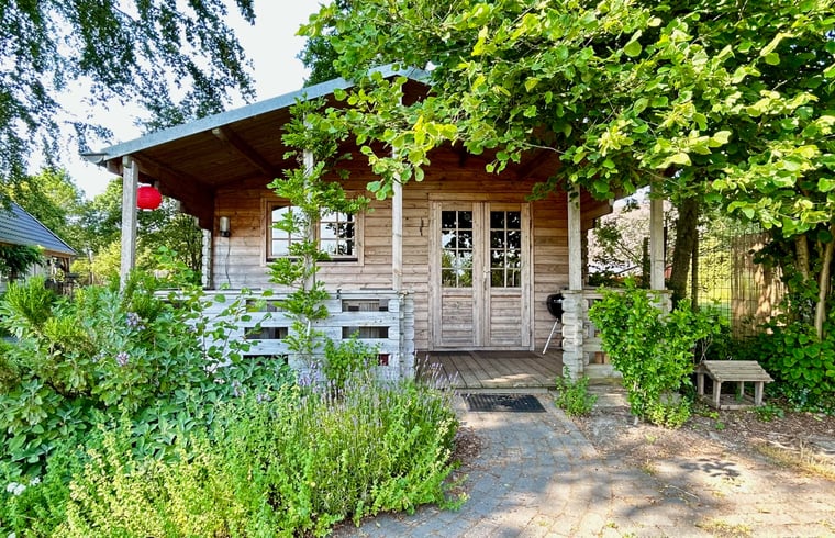 Blokhut in Tynaarlo — foto 2