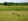 Naturhäuschen in Vorden