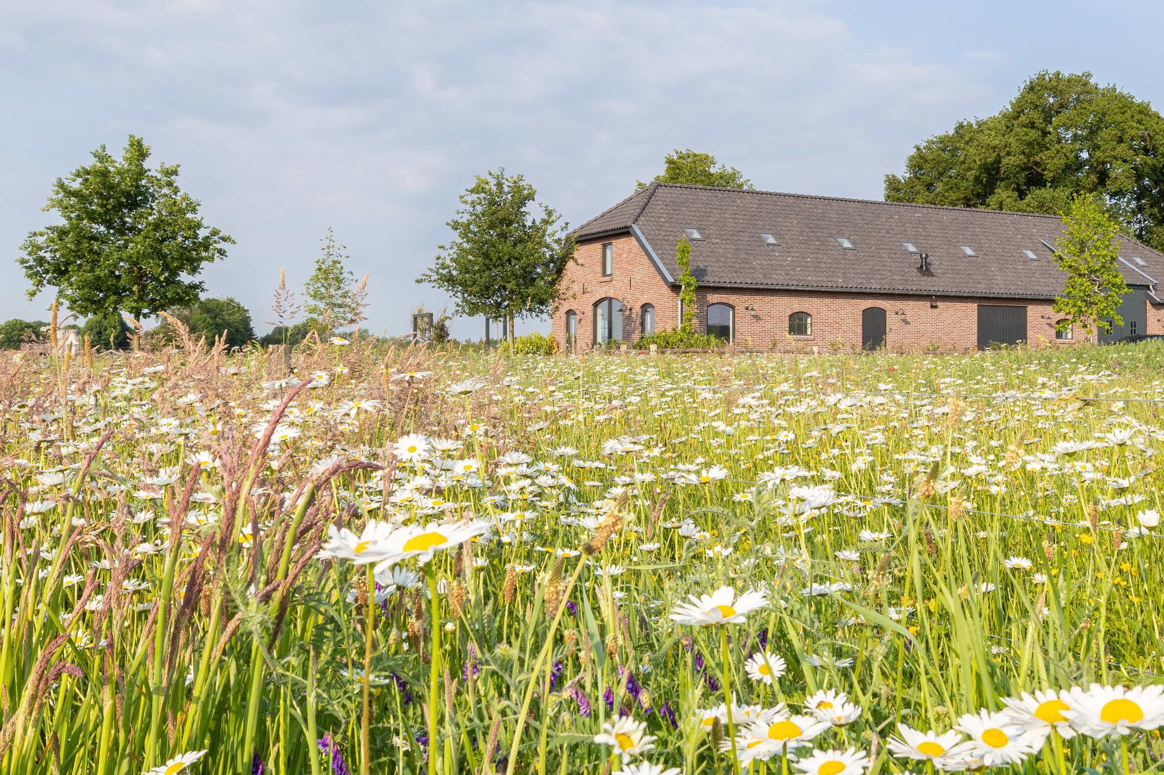 Maison nature à Lunteren