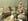 - image: 33