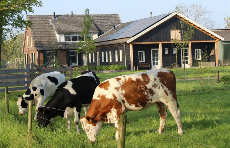 Natuurhuisje in Westendorp