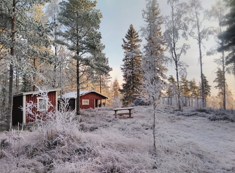 Nature house in Lekvattnet (Varmland): 60