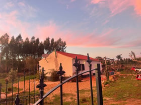 Nature house in Sao Teotonio