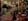 - image: 15