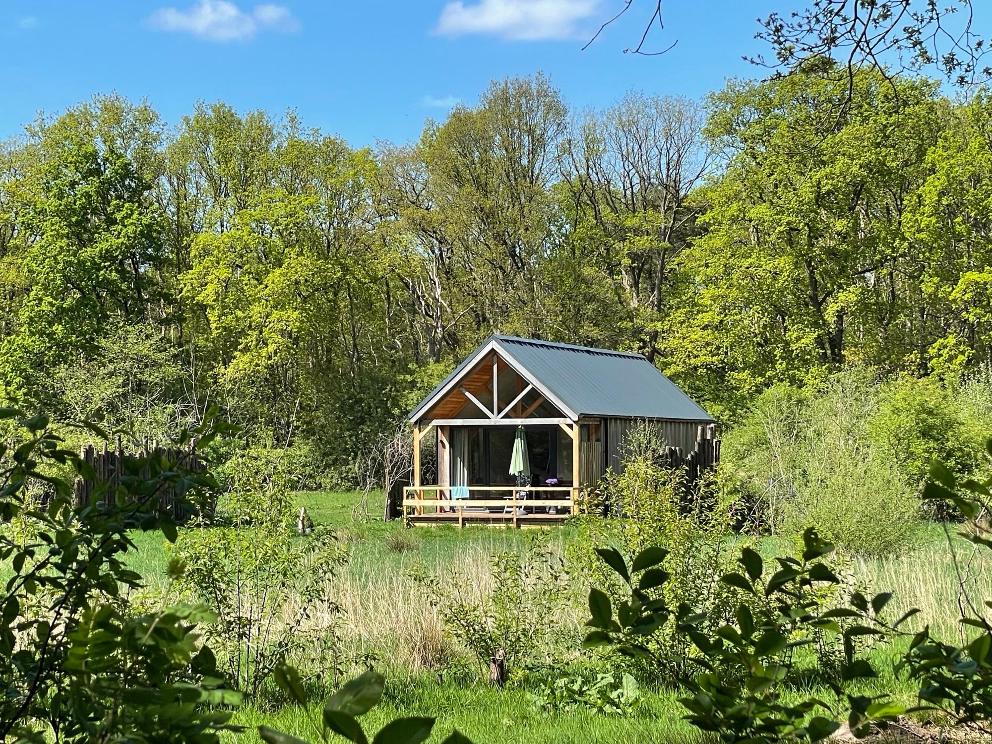 Maison nature à Dwingeloo