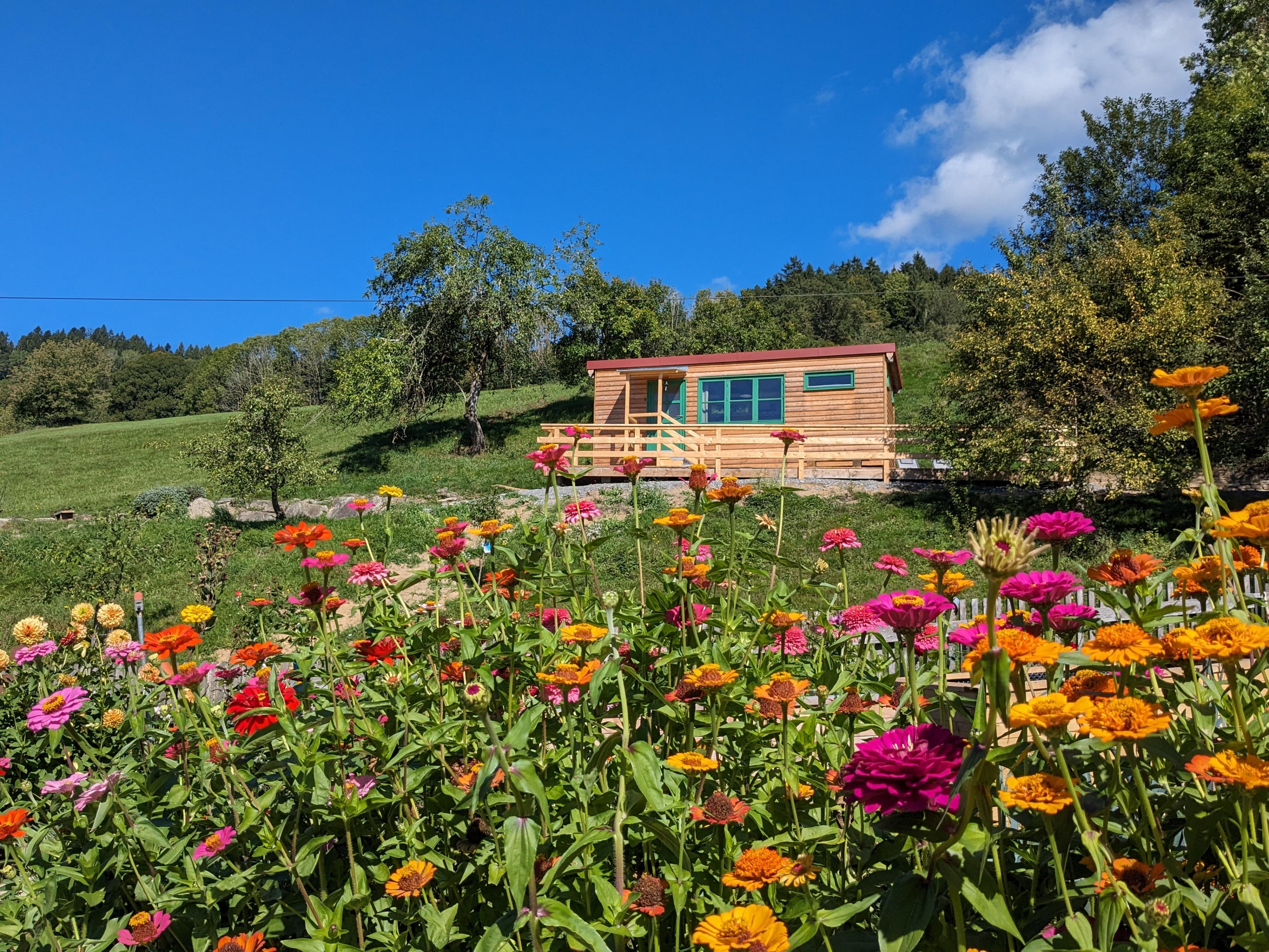Nature house in Schwarzach