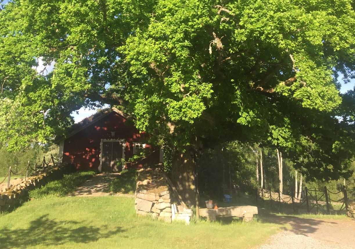 Nature house in tingsryd