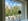 Nature house in Voorst