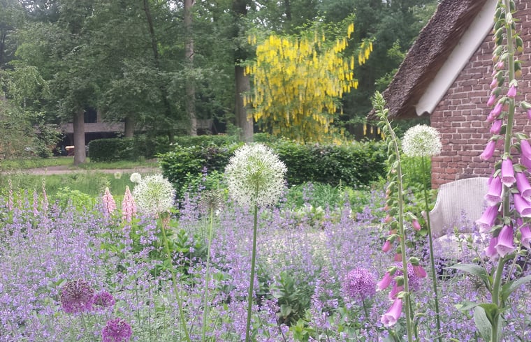 B&B in Heerde — foto 3