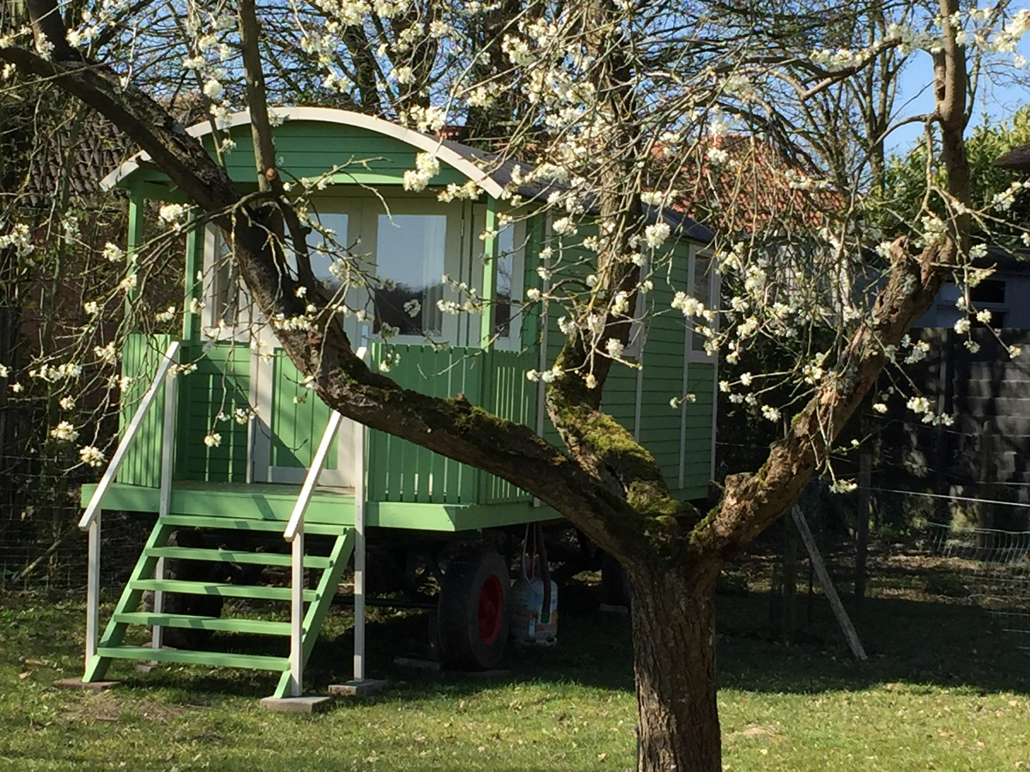Nature house in Ommeren