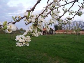 Maison nature dans Grashoek