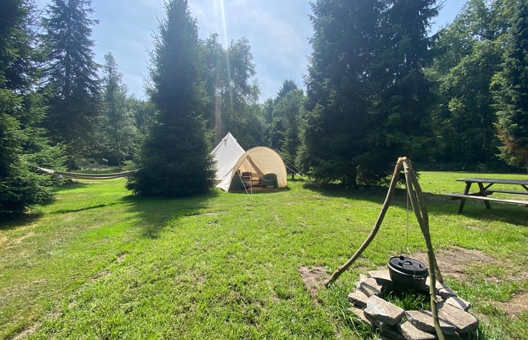 Natuurhuisje in Tiendeveen