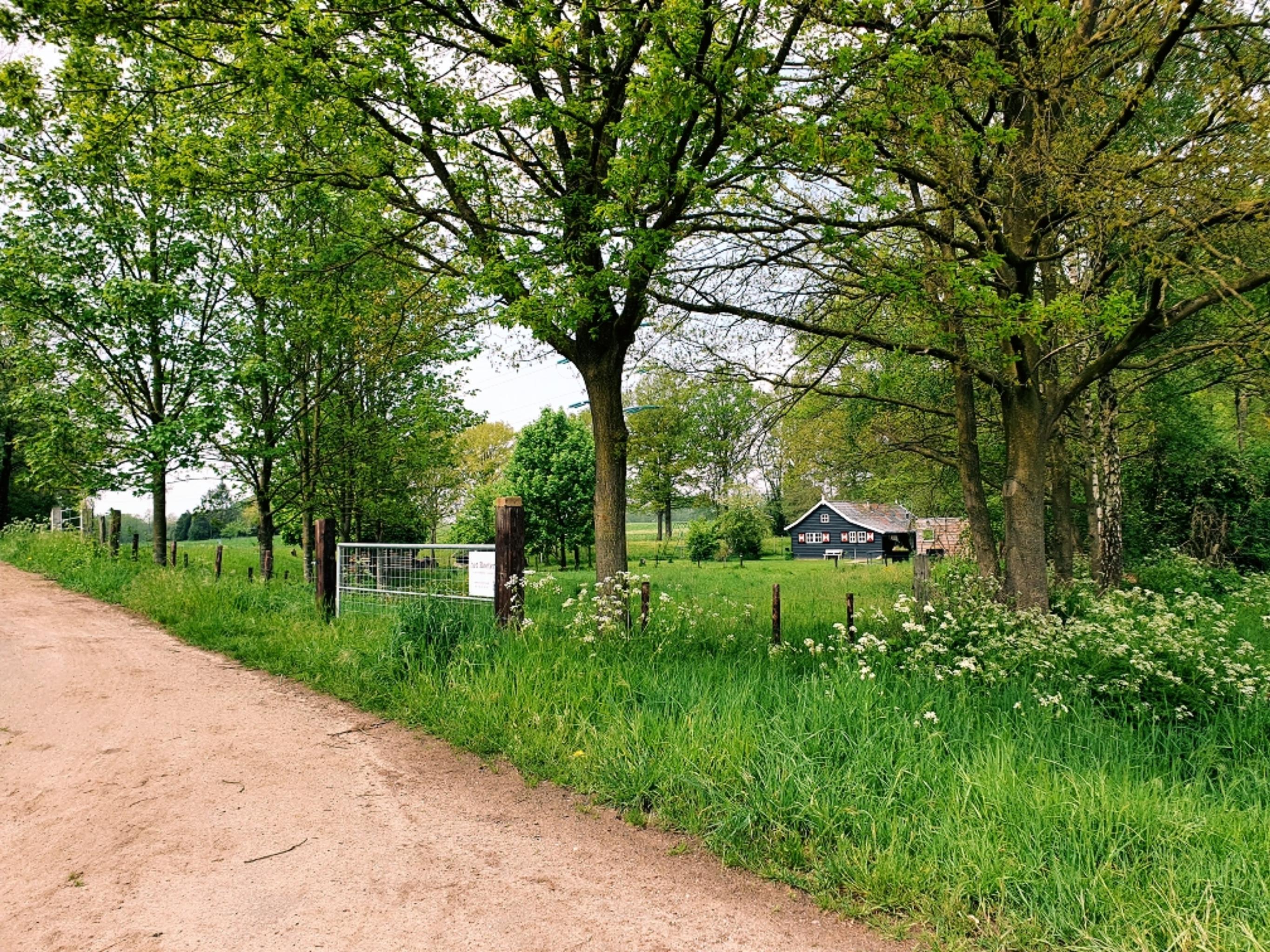 Maison nature à Aalten