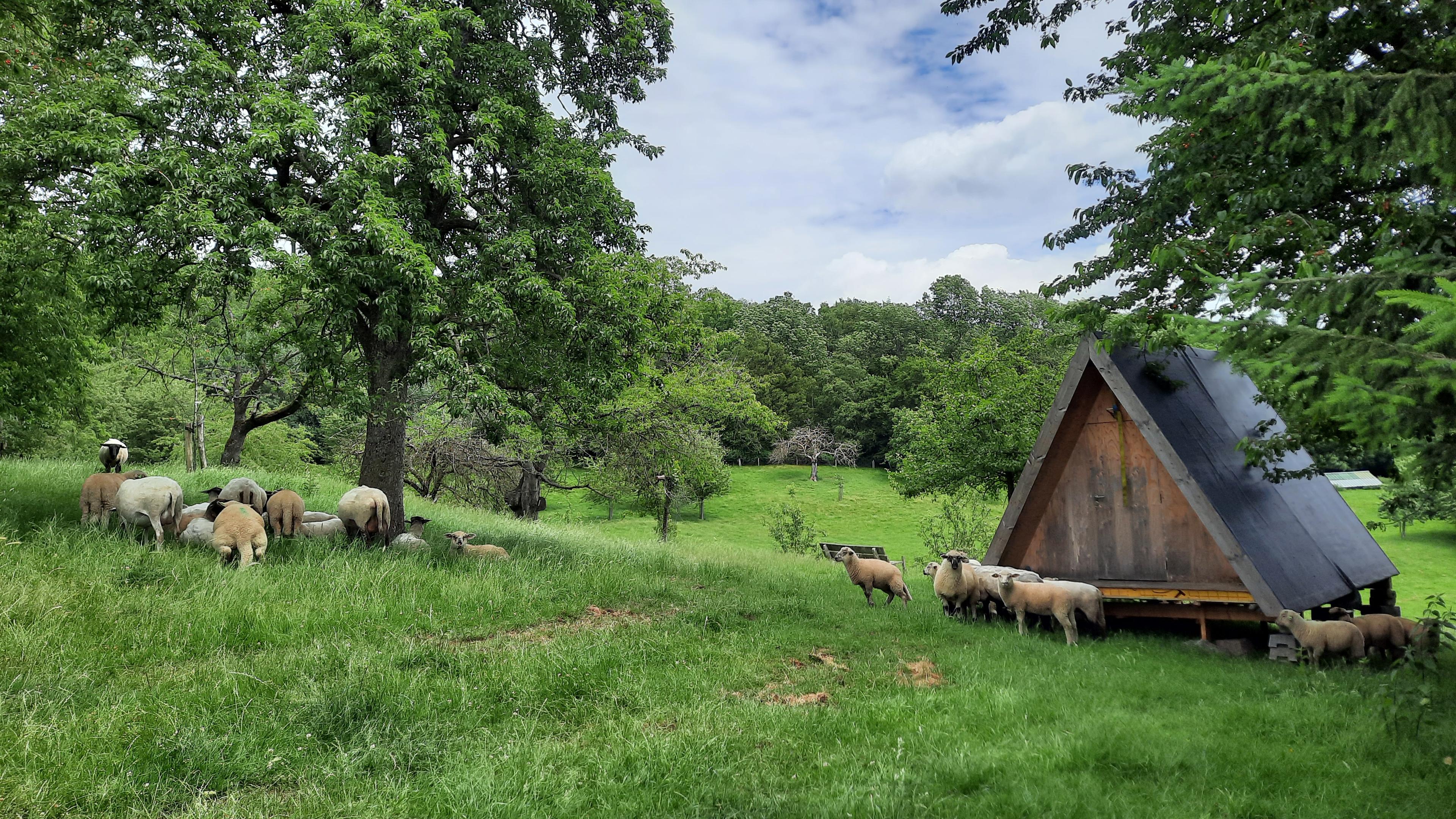 Natuurhuisje in Vijlen