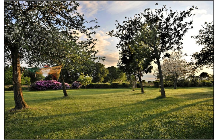 Glamping in prat — foto 3