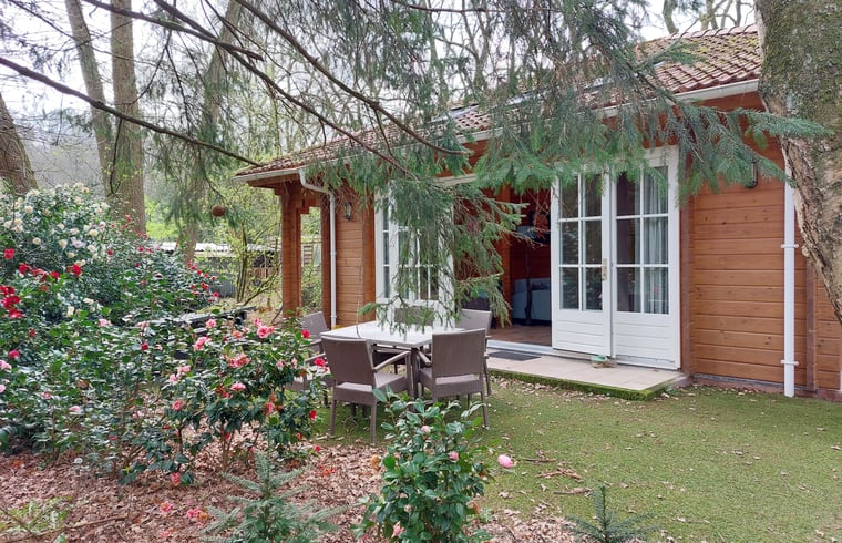 Bungalow in Ermelo — foto 1