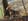- image: 66