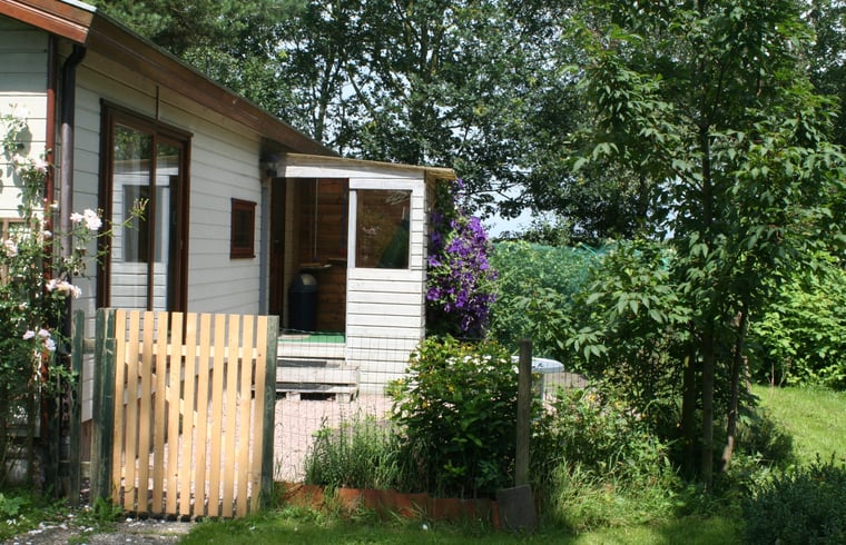 Chalet in Veelerveen — foto 3