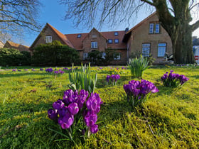 Naturhäuschen in Tetenbüll