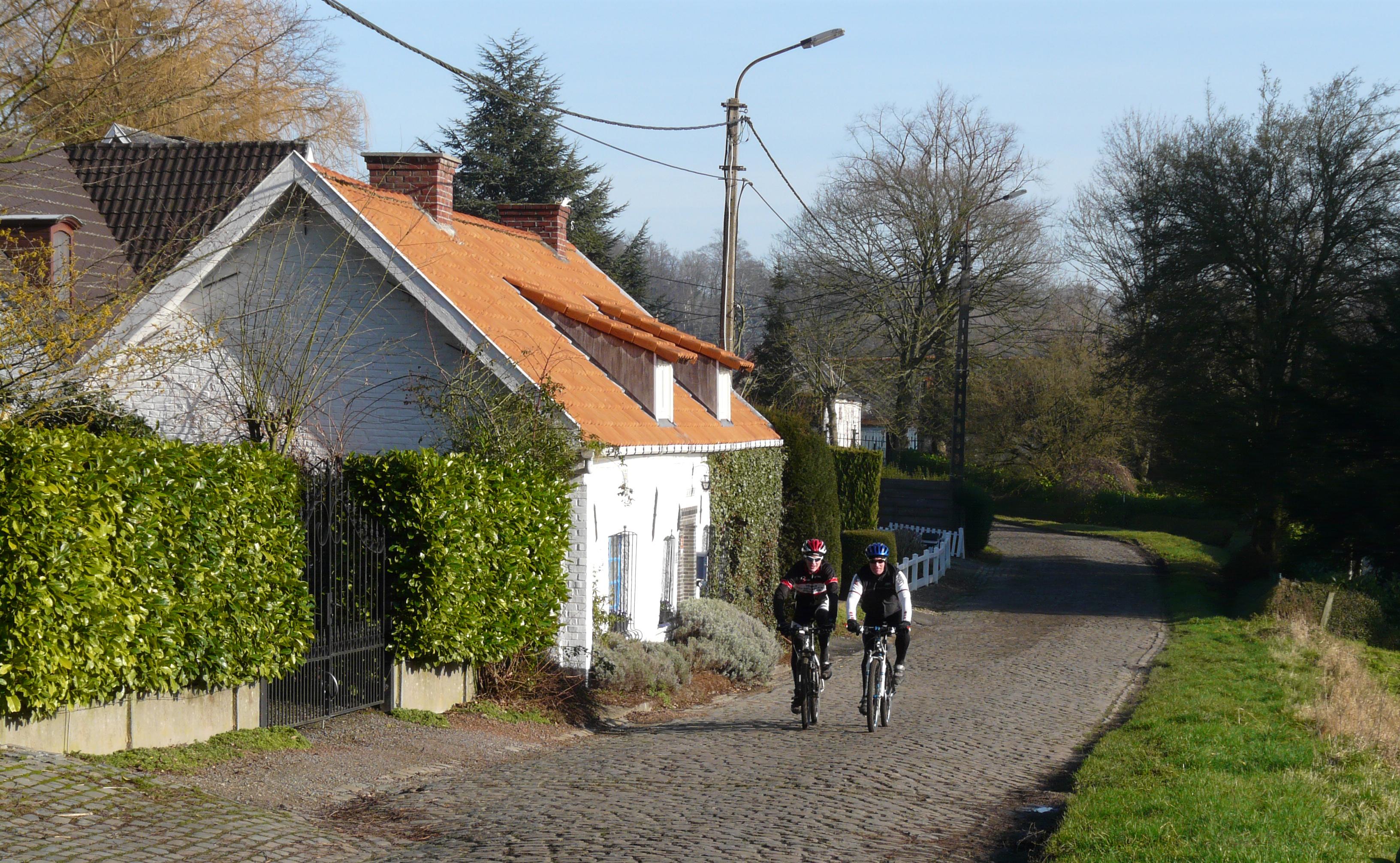 Maison nature à Ronse