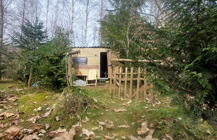Tiny house in La Roche en ardenne — foto 2