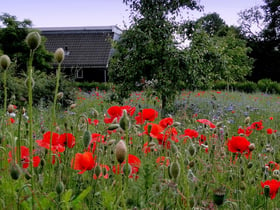 Casa nella natura a Vledder