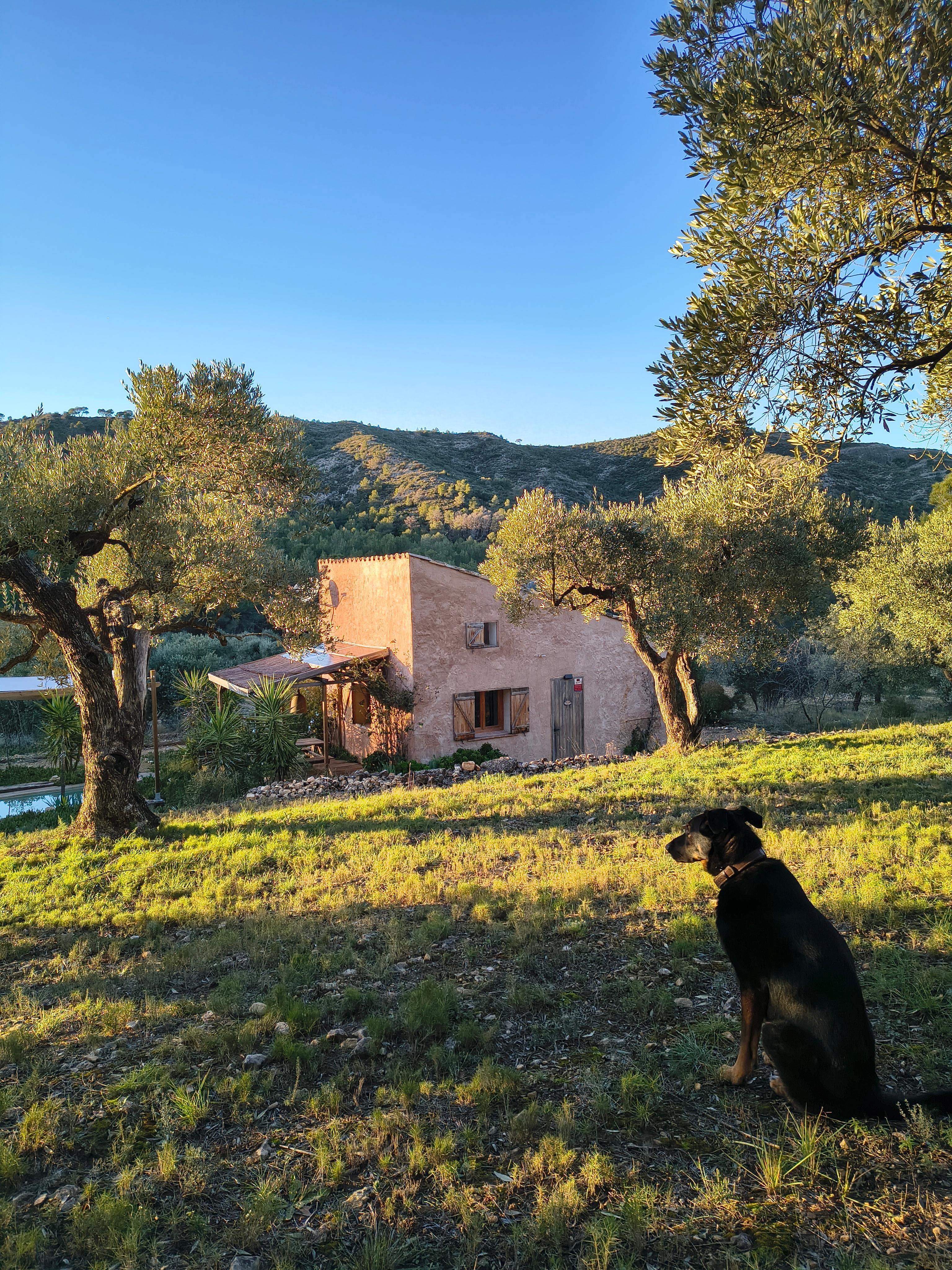 Nature house in Benissanet