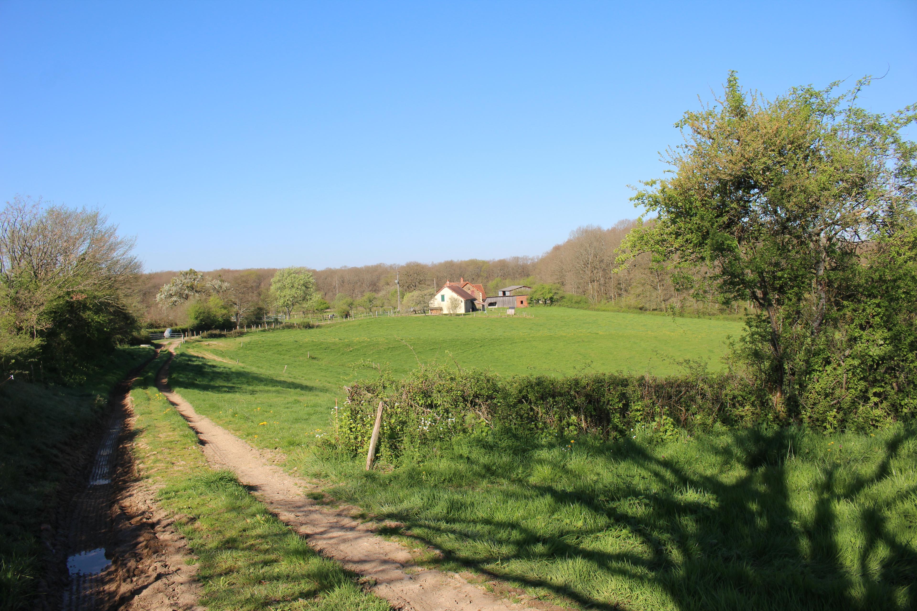 Maison nature à Semelay