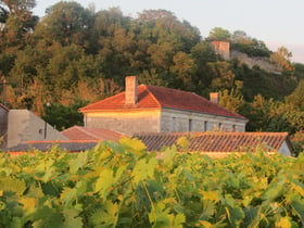 Casa nella natura a SAINT THOMAS DE CONAC