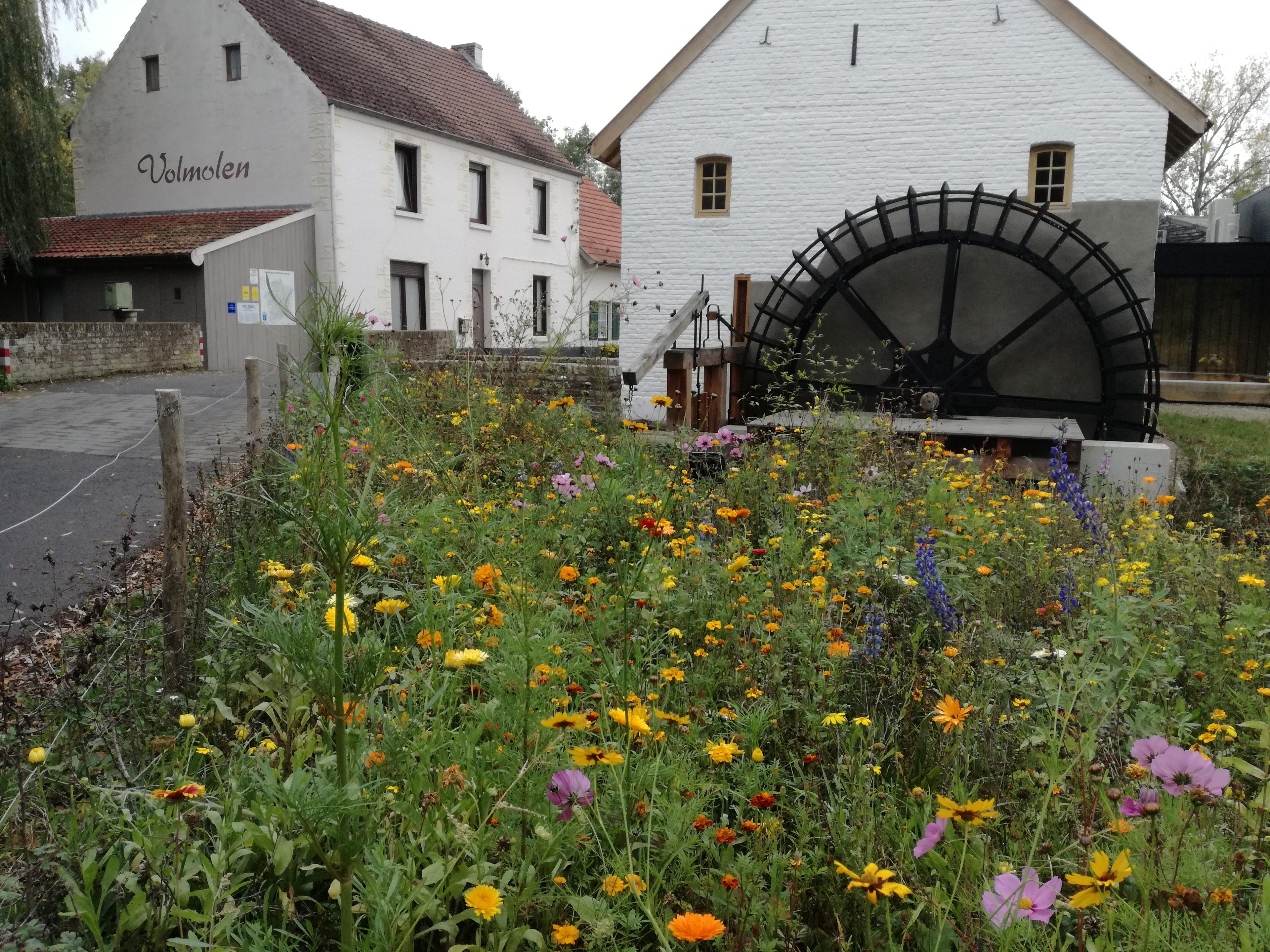Nature house in Opoeteren