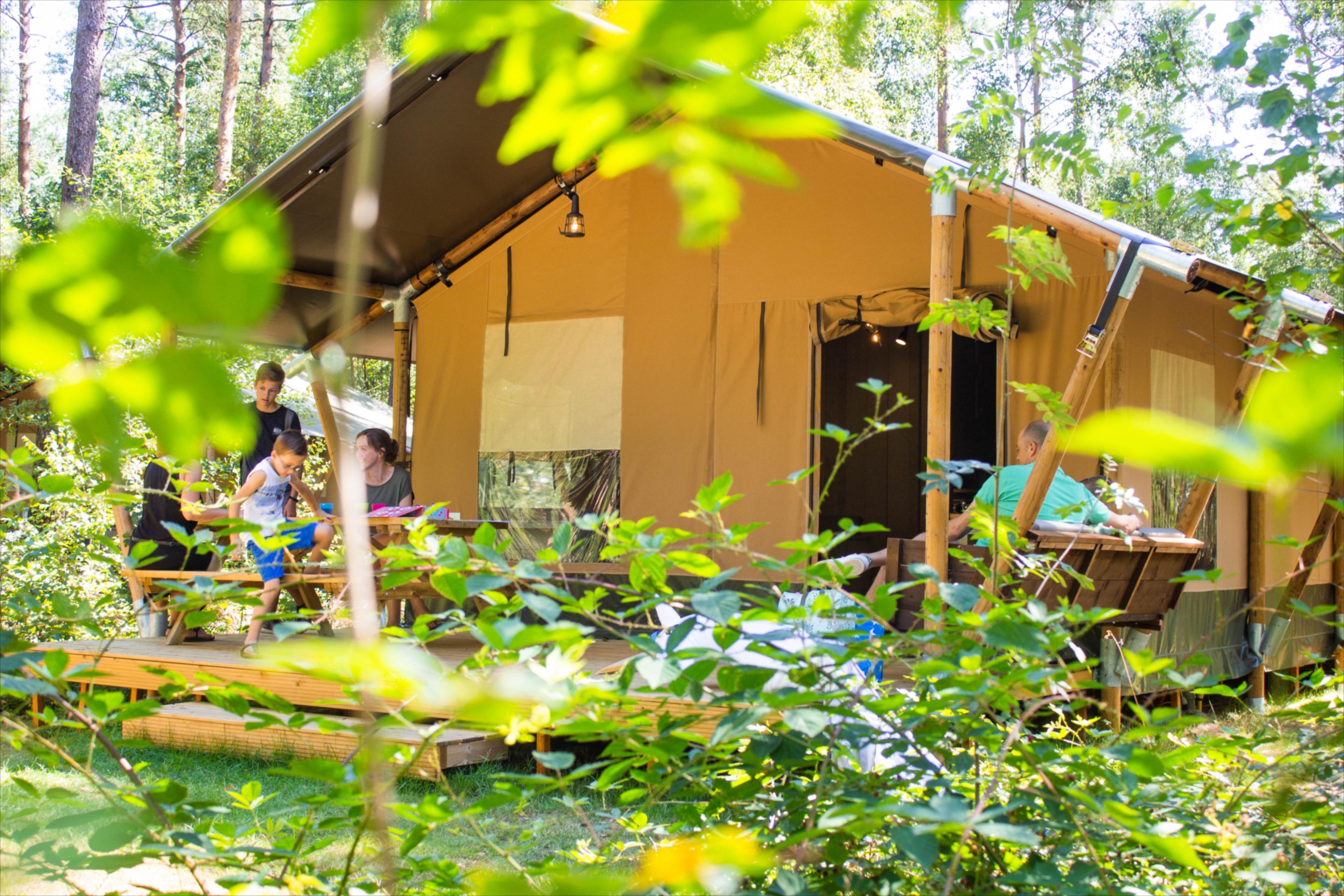 Maison nature à Ermelo