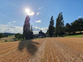 Maison nature à Poullignac