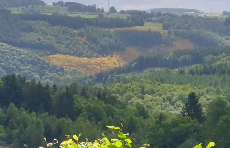 Tiny house in La Roche en ardenne — foto 3