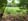 Nature house in De Waal
